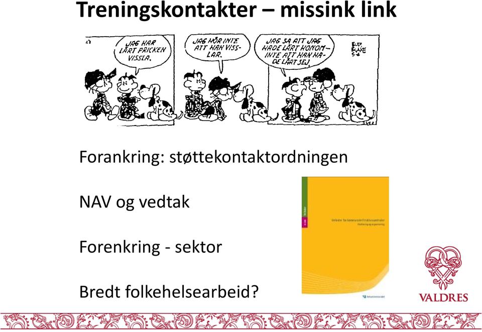 støttekontaktordningen NAV og