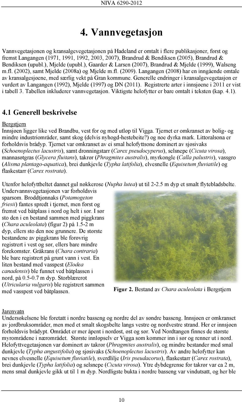 Langangen (2008) har en inngående omtale av kransalgesjøene, med særlig vekt på Gran kommune. Generelle endringer i kransalgevegetasjon er vurdert av Langangen (1992), Mjelde (1997) og DN (2011).