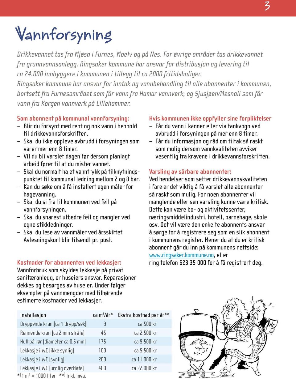 Ringsaker kommune har ansvar for inntak og vannbehandling til alle abonnenter i kommunen, bortsett fra Furnesområdet som får vann fra Hamar vannverk, og Sjusjøen/Mesnali som får vann fra Korgen