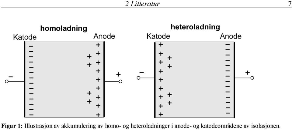 akkumulering av homo- og