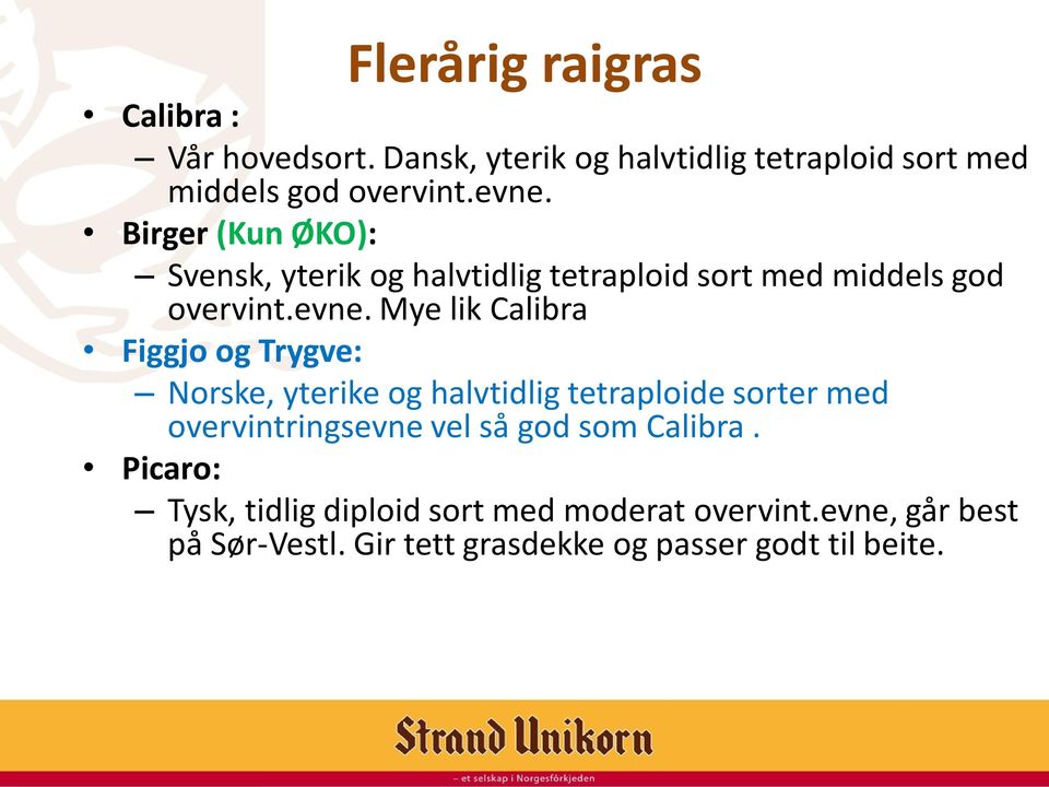 Mye lik Calibra Figgjo og Trygve: Norske, yterike og halvtidlig tetraploide sorter med overvintringsevne vel så god