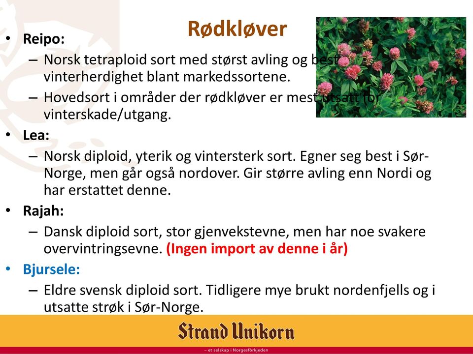 Egner seg best i Sør- Norge, men går også nordover. Gir større avling enn Nordi og har erstattet denne.