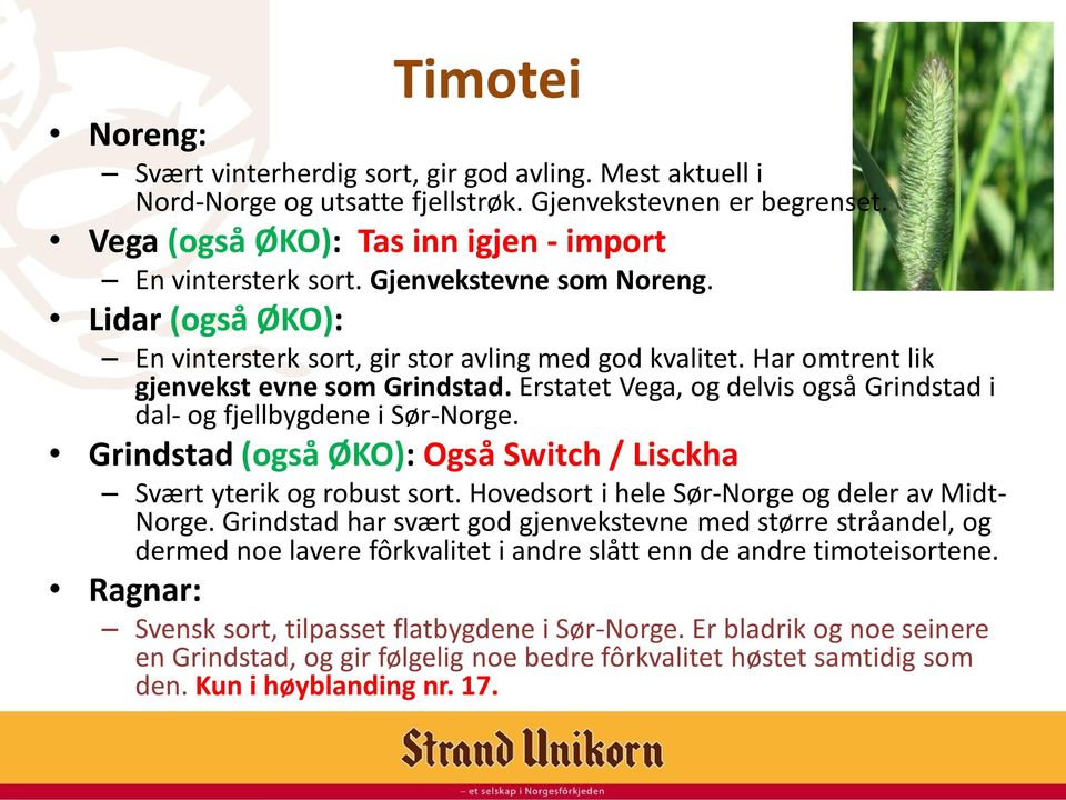 Erstatet Vega, og delvis også Grindstad i dal- og fjellbygdene i Sør-Norge. Grindstad (også ØKO): Også Switch / Lisckha Svært yterik og robust sort. Hovedsort i hele Sør-Norge og deler av Midt- Norge.