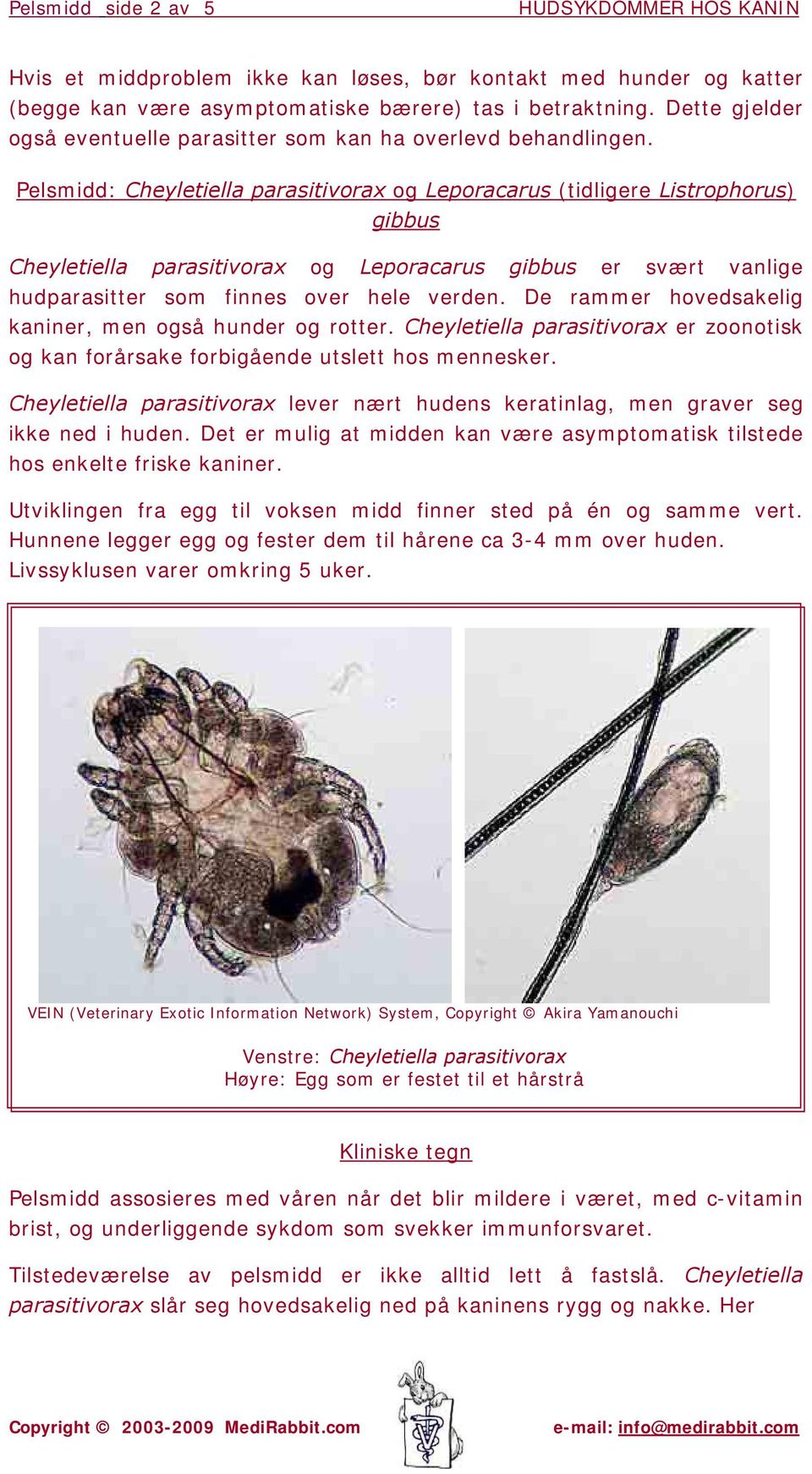 Pelsmidd: Cheyletiella parasitivorax og Leporacarus (tidligere Listrophorus) gibbus Cheyletiella parasitivorax og Leporacarus gibbus er svært vanlige hudparasitter som finnes over hele verden.