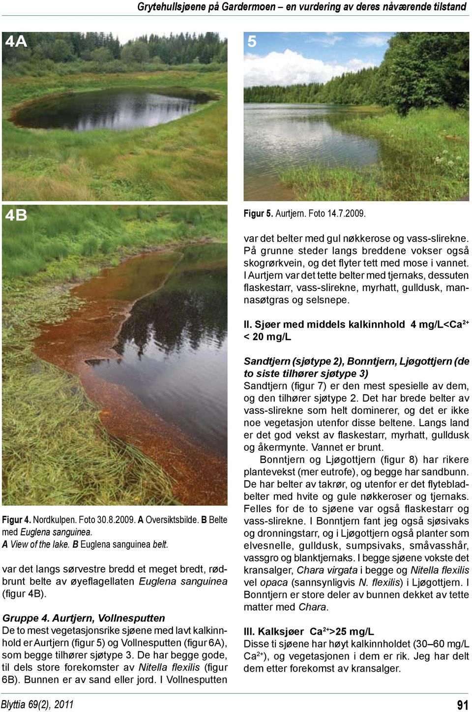 I Aurtjern var det tette belter med tjernaks, dessuten flaskestarr, vass-slirekne, myrhatt, gulldusk, mannasøtgras og selsnepe. II. Sjøer med middels kalkinnhold 4 mg/l<ca 2+ < 20 mg/l Figur 4.