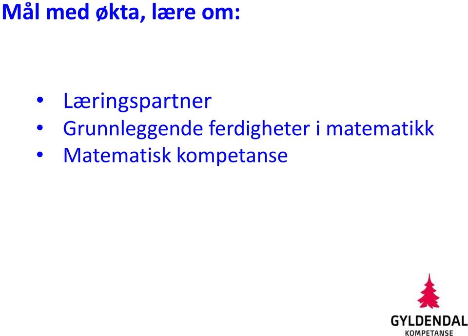 Grunnleggende