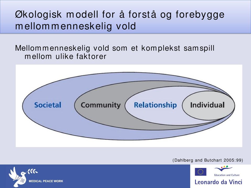 Mellommenneskelig vold som et komplekst