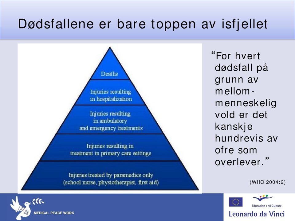 av mellommenneskelig vold er det