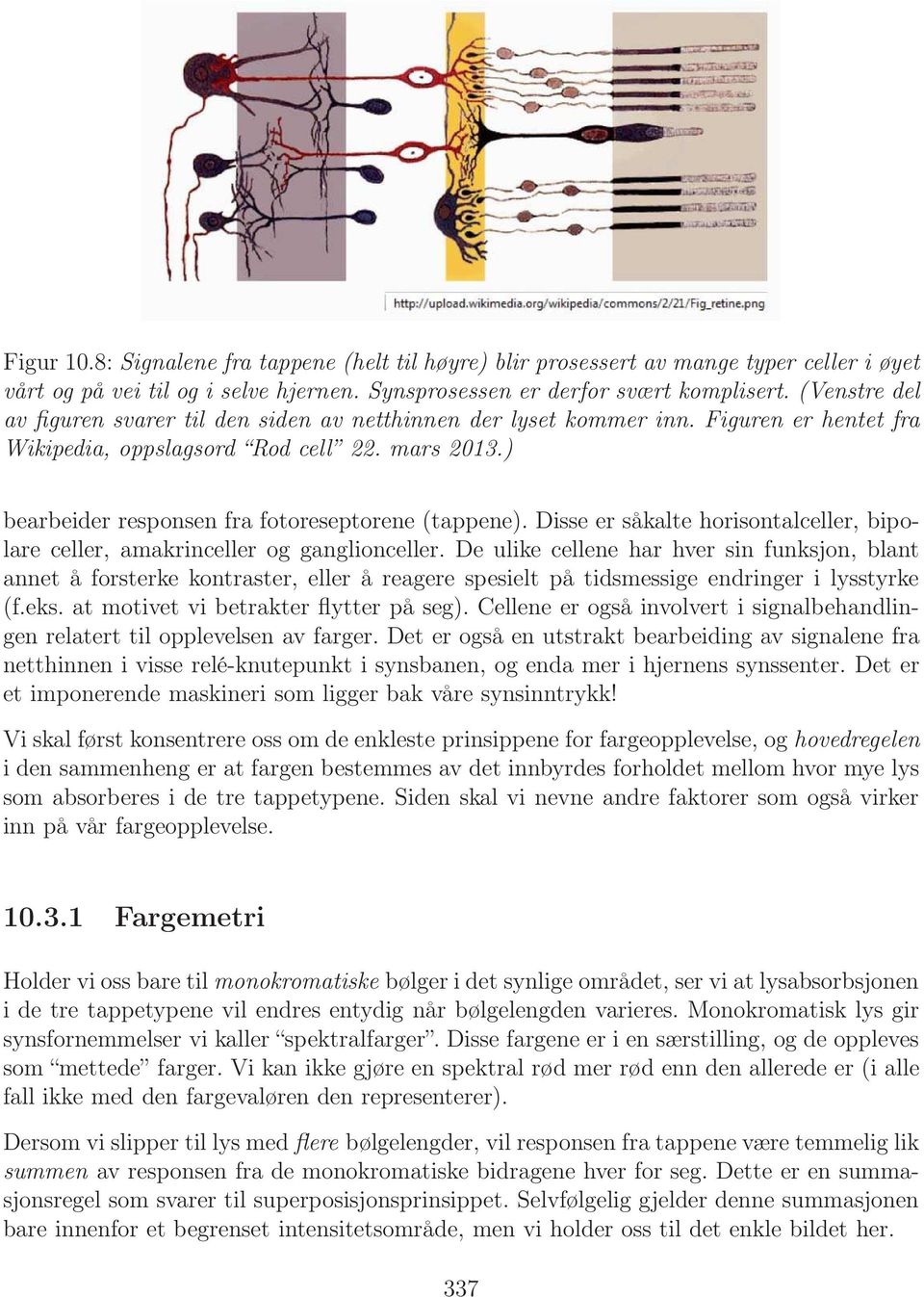 ) bearbeider responsen fra fotoreseptorene (tappene). Disse er såkalte horisontalceller, bipolare celler, amakrinceller og ganglionceller.