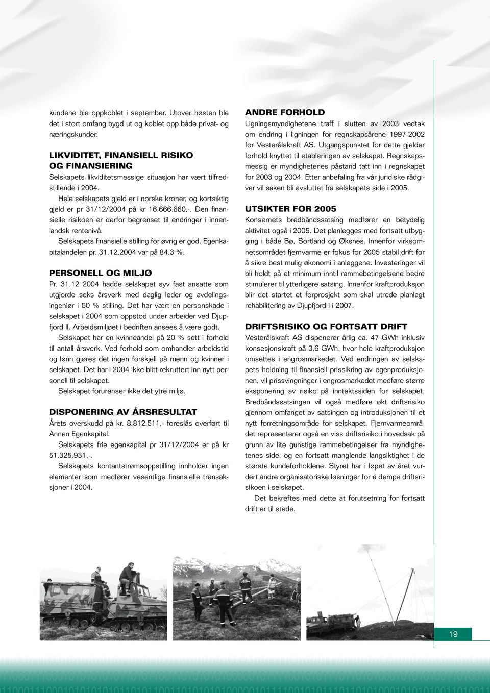 Hele selskapets gjeld er i norske kroner, og kortsiktig gjeld er pr 31/12/2004 på kr 16.666.660,-. Den finansielle risikoen er derfor begrenset til endringer i innenlandsk rentenivå.