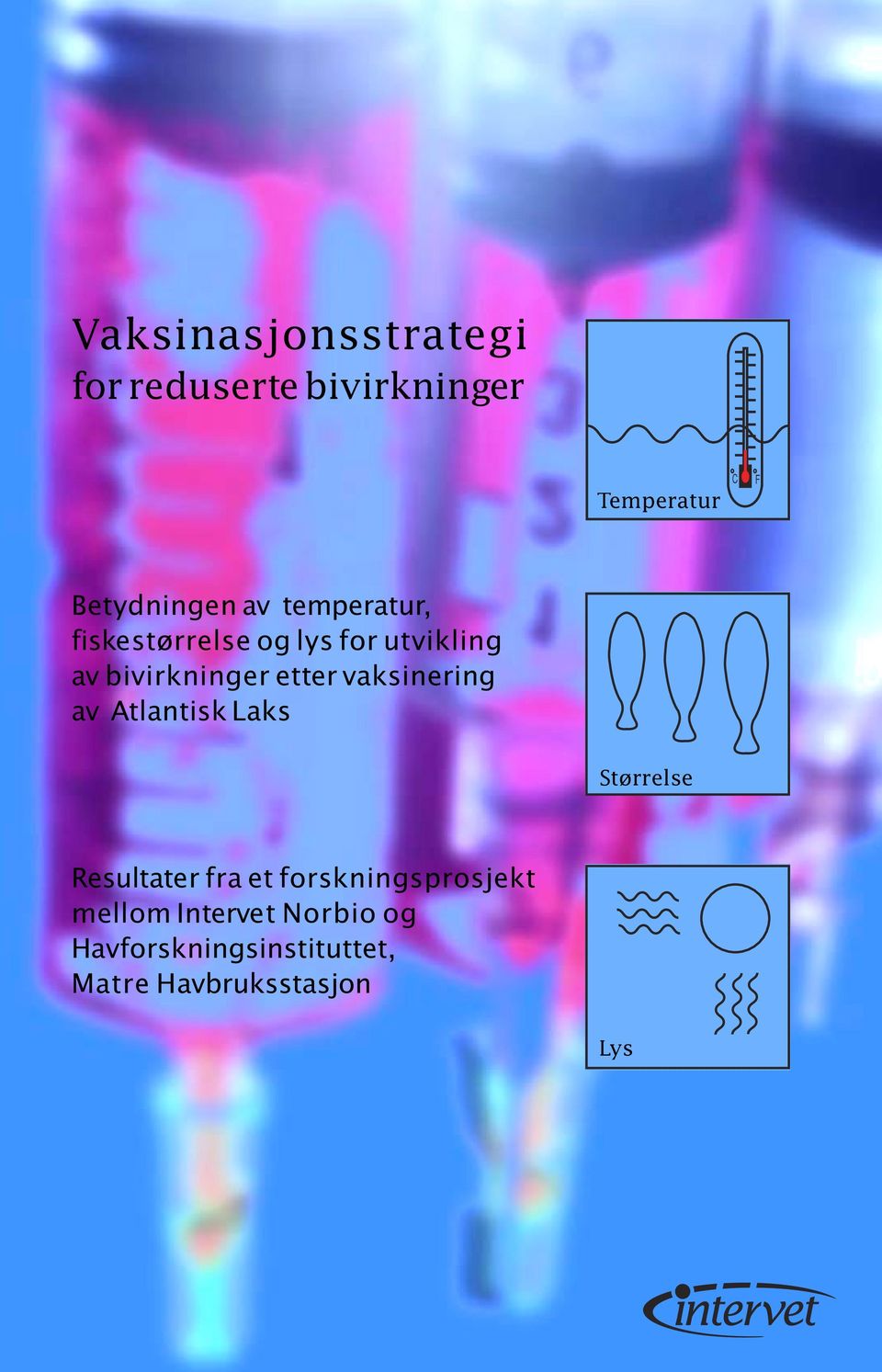 vaksinering av Atlantisk Laks Størrelse Resultater fra et