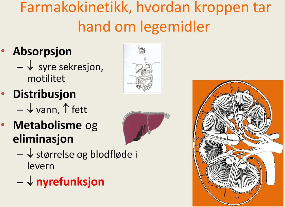 Distribusjon vann, fett Metabolisme og