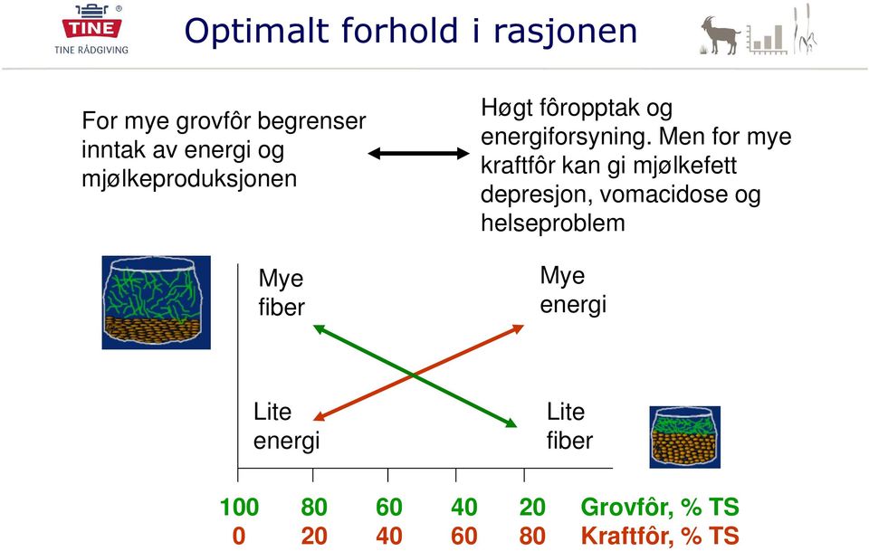 Men for mye kraftfôr kan gi mjølkefett depresjon, vomacidose og helseproblem