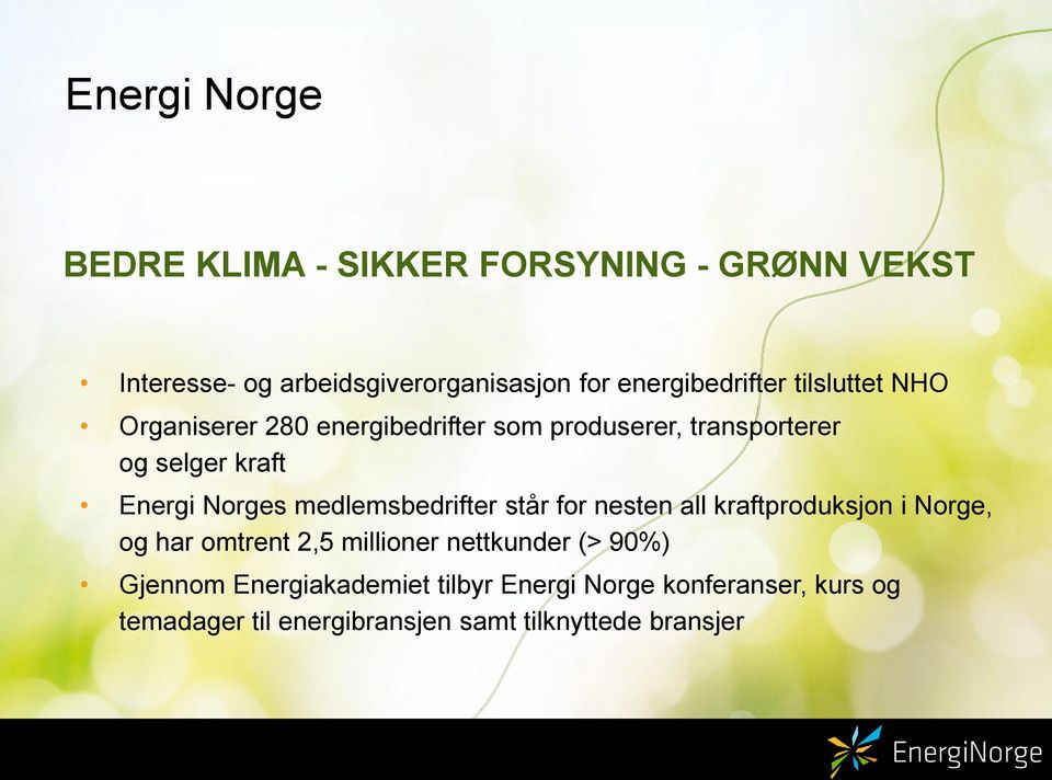 Energi Norges medlemsbedrifter står for nesten all kraftproduksjon i Norge, og har omtrent 2,5 millioner