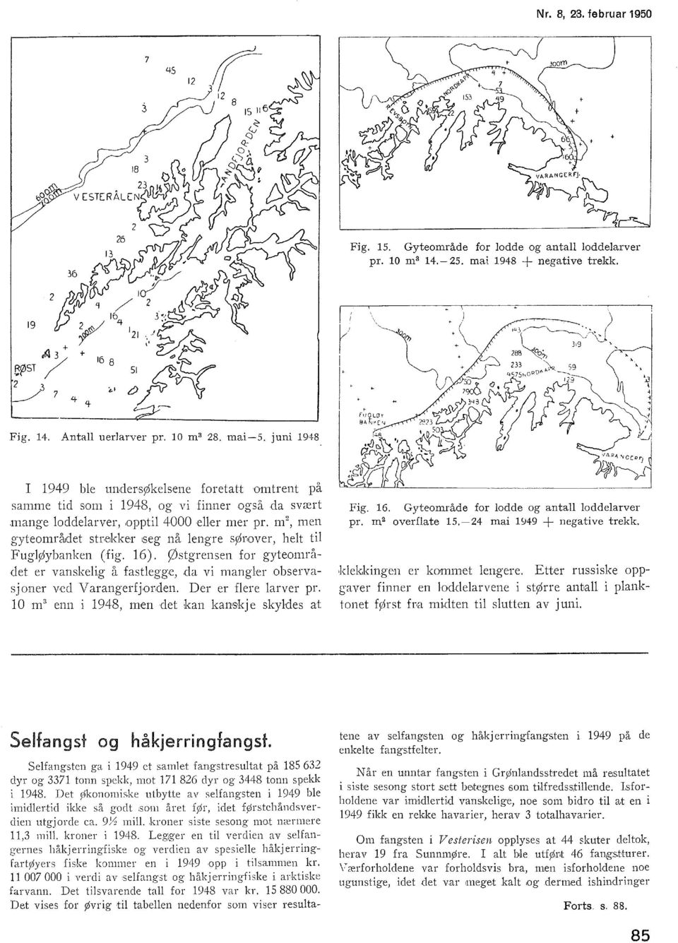 m, men gyteområjdet strekker seg nå engre sørover, het ti FugØybanken (fig. 6). Østgrensen for gyteområdet er vanskeig å fastegge, da vi manger observasjoner ved Varangerfjorden. Der er fere arver pr.