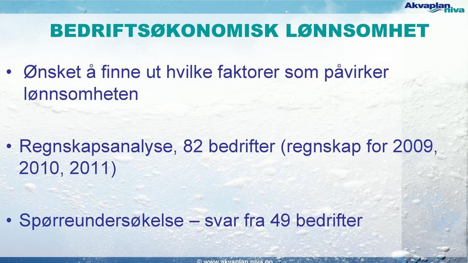 Regnskapsanalyse, 82 bedrifter (regnskap for