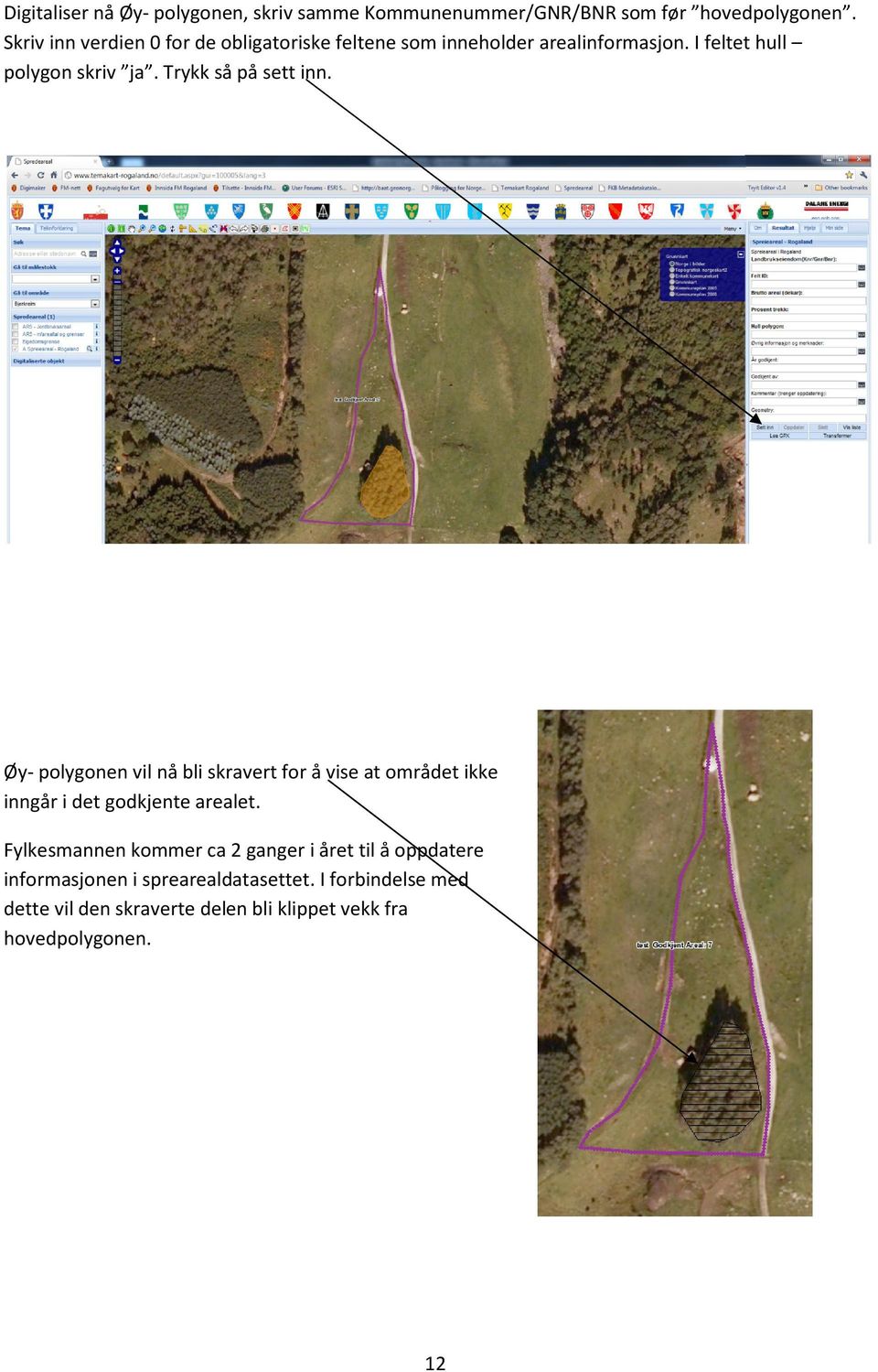 Trykk så på sett inn. Øy- polygonen vil nå bli skravert for å vise at området ikke inngår i det godkjente arealet.