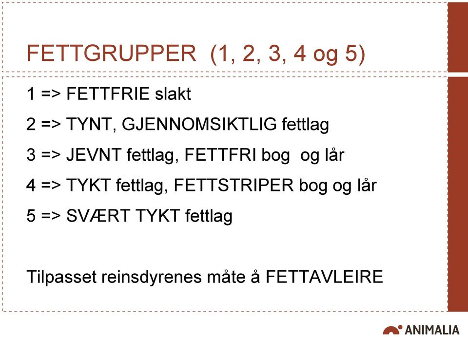 bog og lår 4 => TYKT fettlag, FETTSTRIPER bog og lår 5 =>