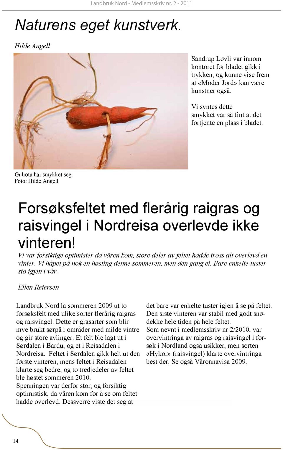 Vi syntes dette smykket var så fint at det fortjente en plass i bladet. Gulrota har smykket seg.