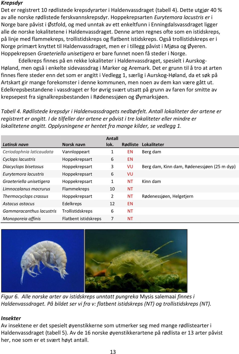 Denne arten regnes ofte som en istidskreps, på linje med flammekreps, trollistidskreps og flatbent istidskreps.