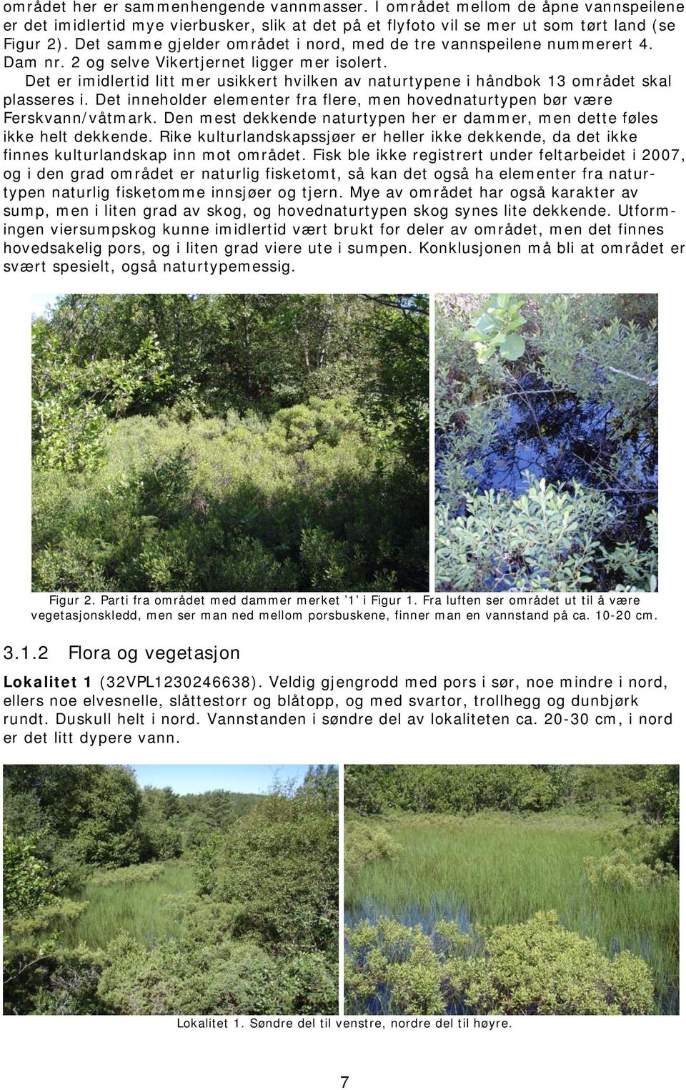 Det er imidlertid litt mer usikkert hvilken av naturtypene i håndbok 13 området skal plasseres i. Det inneholder elementer fra flere, men hovednaturtypen bør være Ferskvann/våtmark.