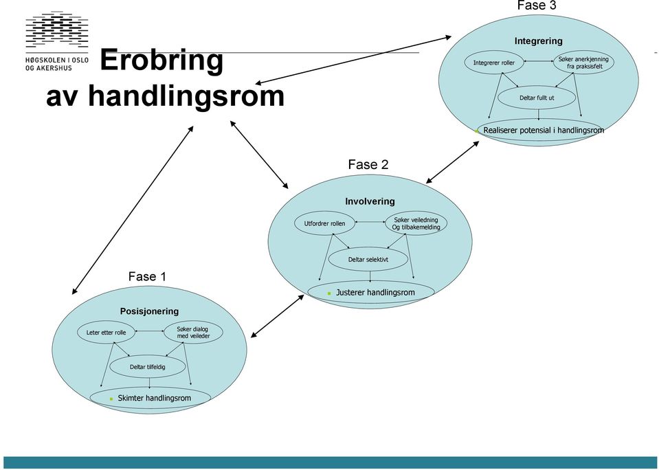 rollen Søker veiledning Og tilbakemelding Fase 1 Deltar selektivt Justerer handlingsrom