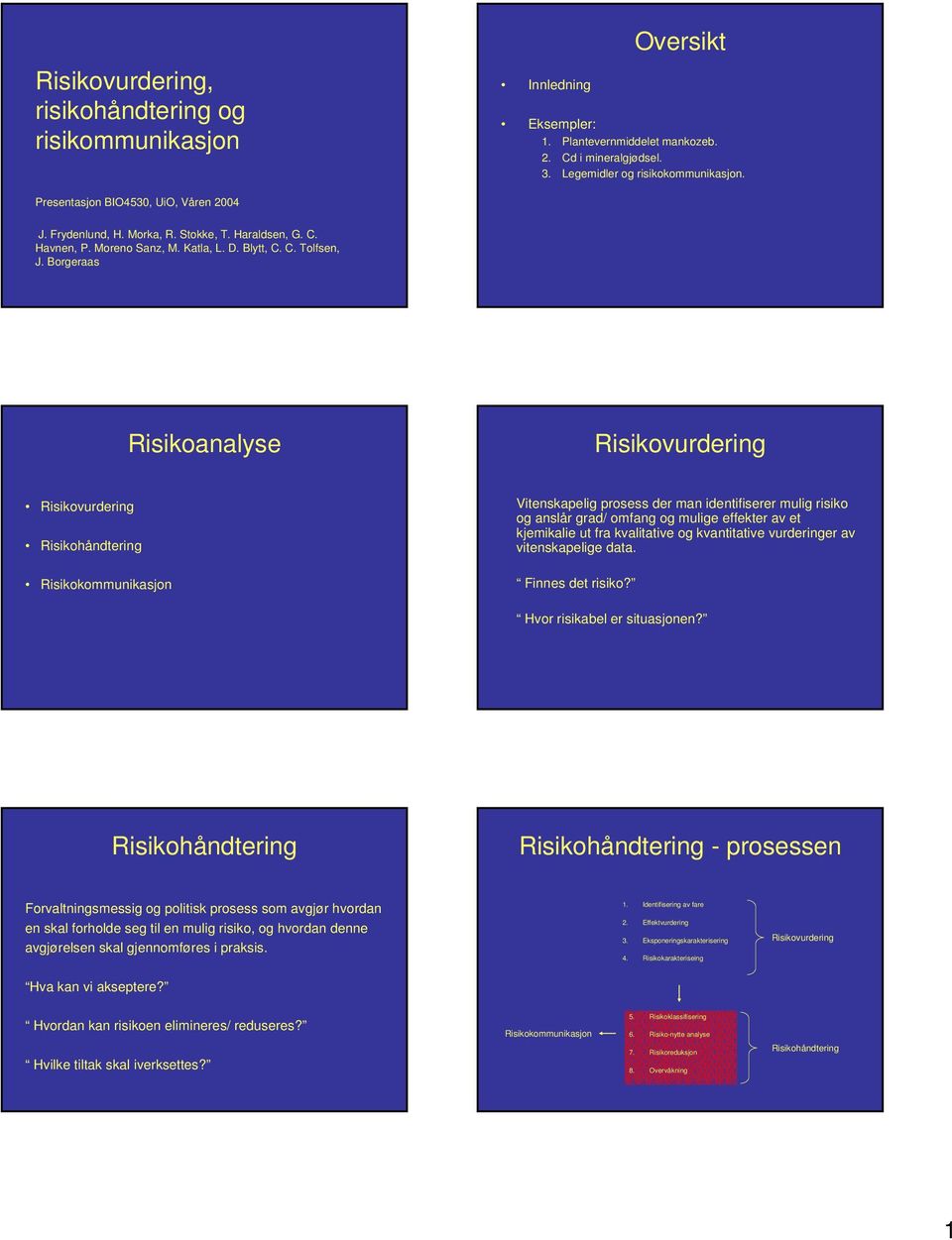 Borgeraas Risikoanalyse Risikovurdering Risikovurdering Risikohåndtering Vitenskapelig prosess der man identifiserer mulig risiko og anslår grad/ omfang og mulige effekter av et kjemikalie ut fra