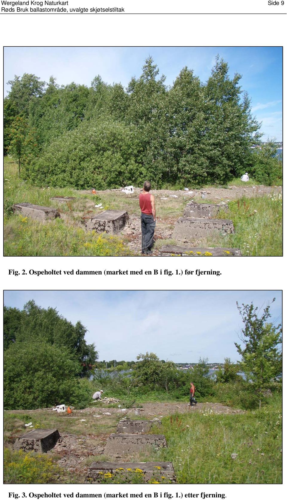 1.) før fjerning. Fig. 3.  1.