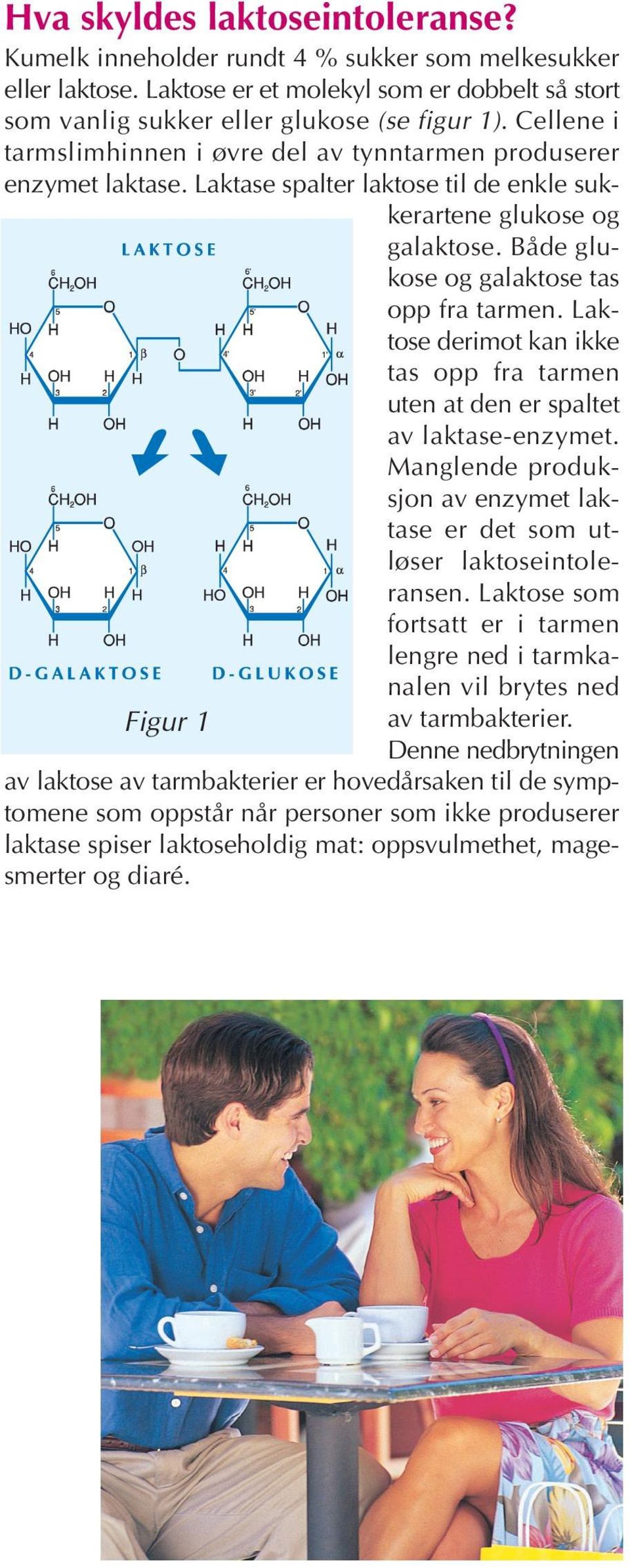 Laktose derimot kan ikke tas opp fra tarmen uten at den er spaltet av laktase-enzymet. Manglende produksjon av enzymet laktase er det som utløser laktoseintoleransen.