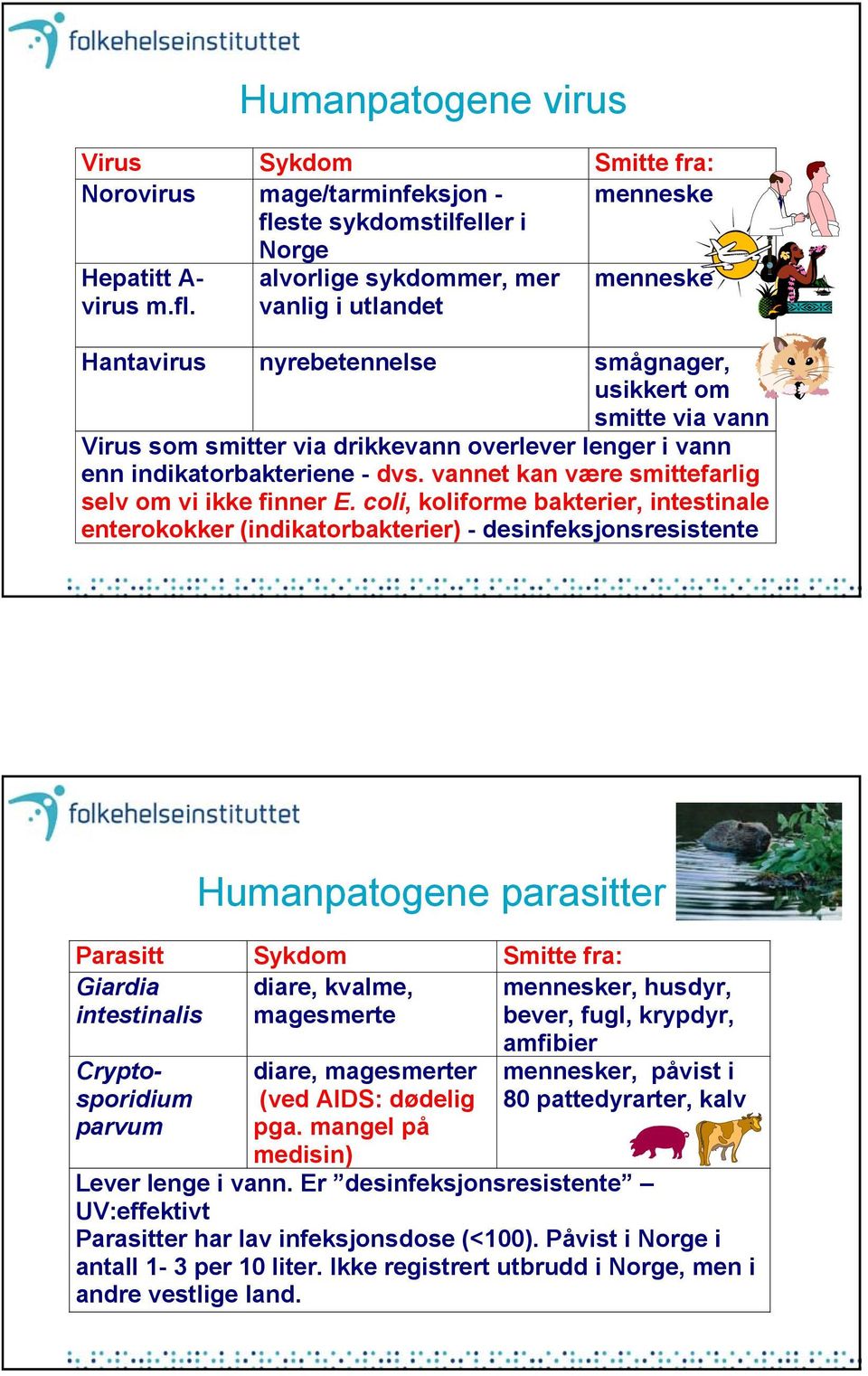 alvorlige sykdommer, mer vanlig i utlandet menneske Hantavirus nyrebetennelse smågnager, usikkert om smitte via vann Virus som smitter via drikkevann overlever lenger i vann enn indikatorbakteriene -