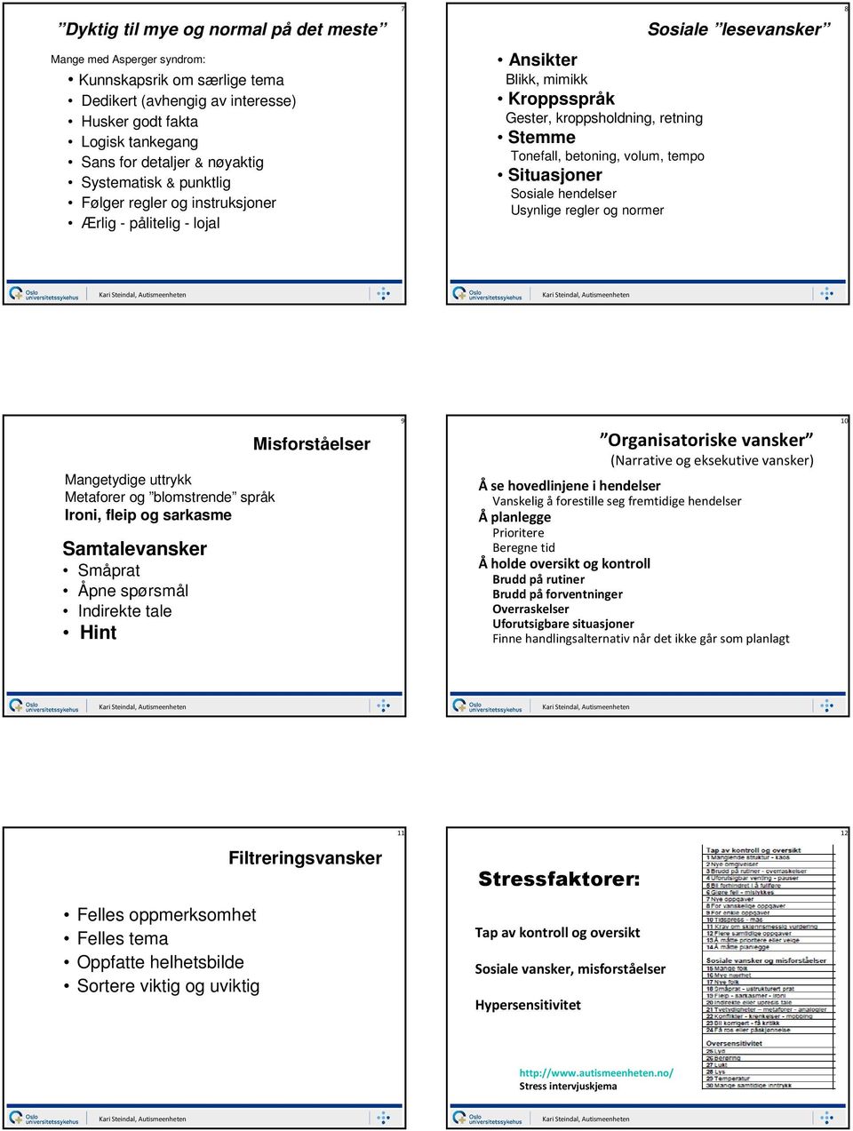 volum, tempo Situasjoner Sosiale hendelser Usynlige regler og normer Mangetydige uttrykk Metaforer og blomstrende språk Ironi, fleip og sarkasme Samtalevansker Småprat Åpne spørsmål Indirekte tale