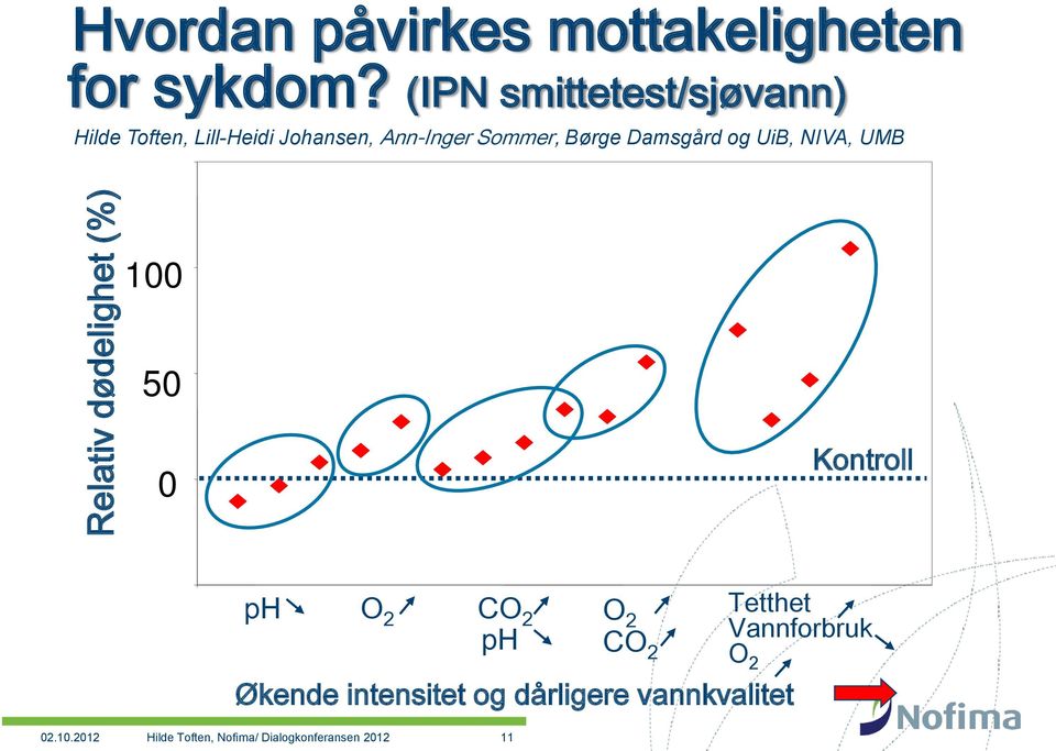 Damsgård og UiB, NIVA, UMB 100