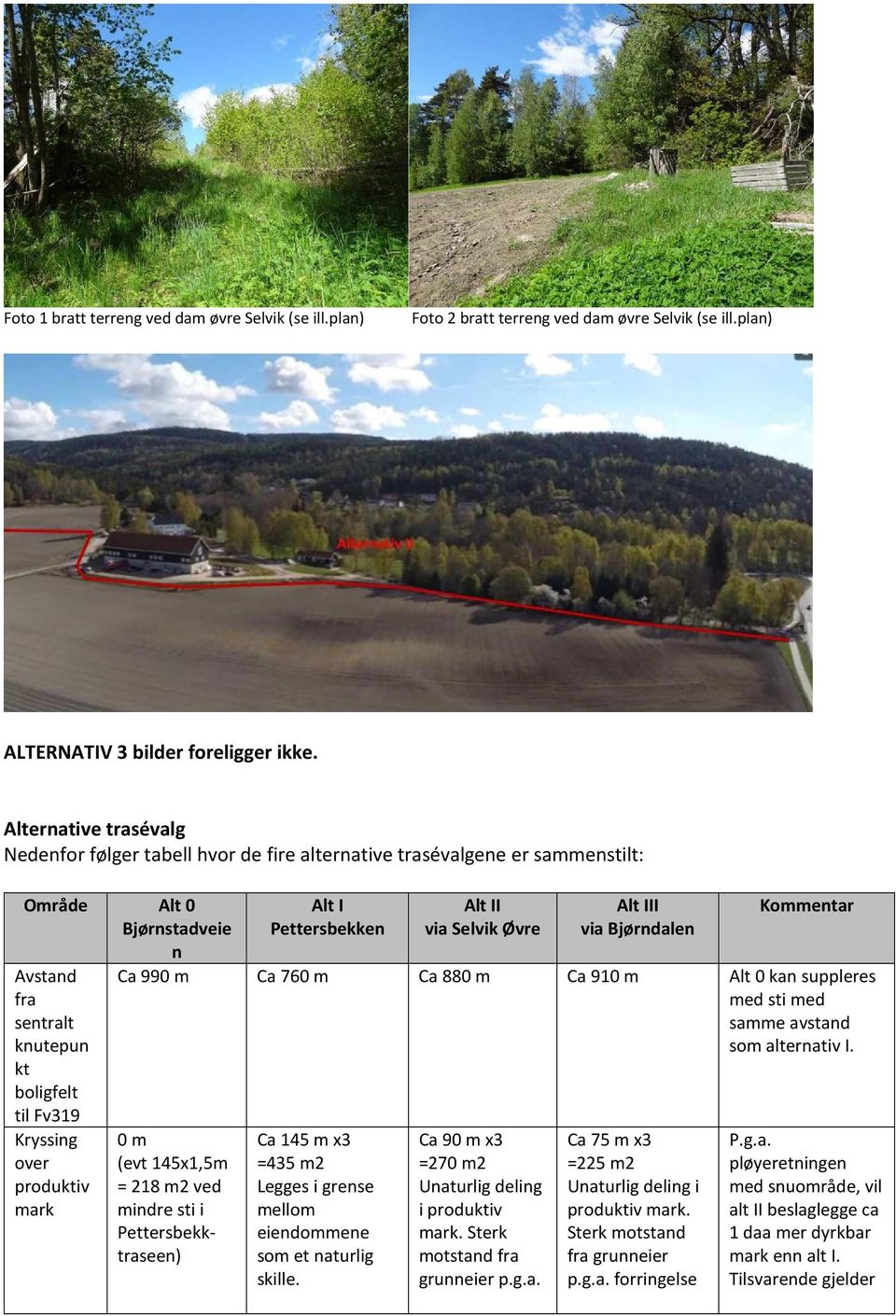 produktiv mark Alt I Pettersbekken Alt II via Selvik Øvre Alt III via Bjørndalen Kommentar Ca 990 m Ca 760 m Ca 880 m Ca 910 m Alt 0 kan suppleres med sti med samme avstand som alternativ I.