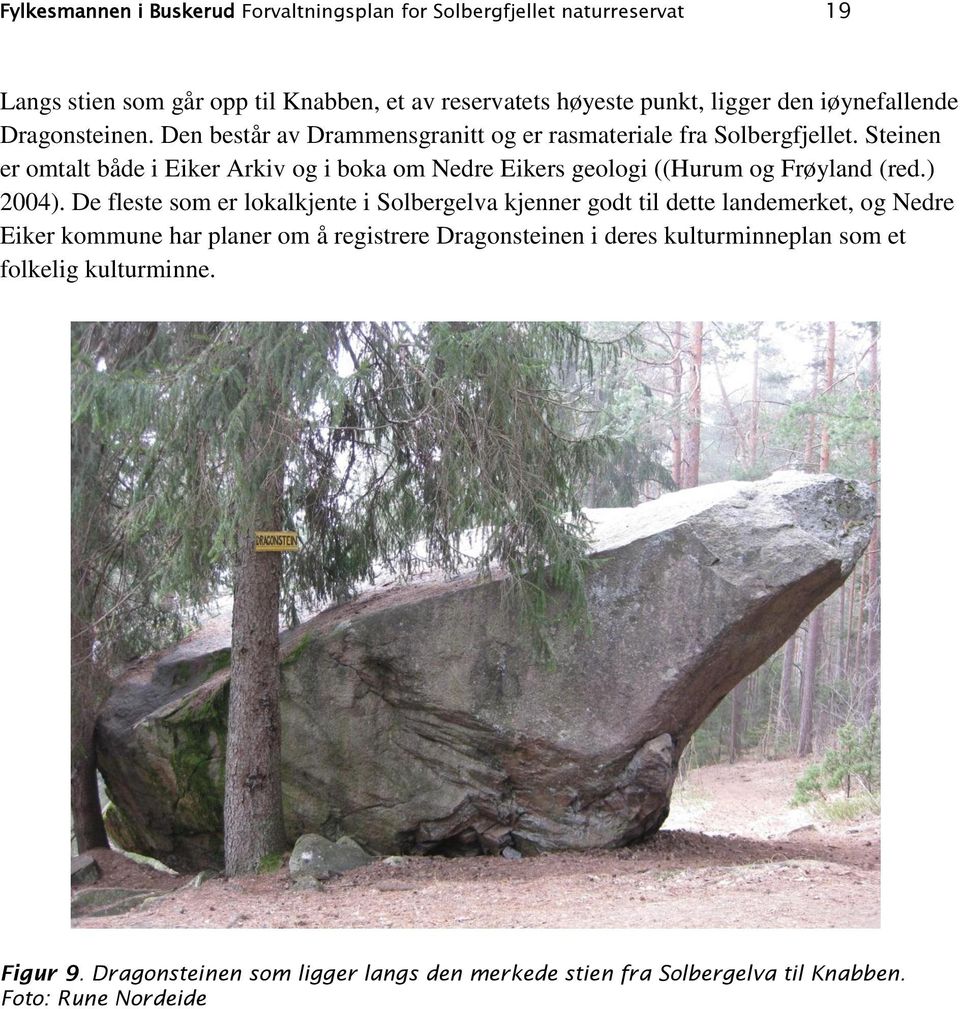 Steinen er omtalt både i Eiker Arkiv og i boka om Nedre Eikers geologi ((Hurum og Frøyland (red.) 2004).