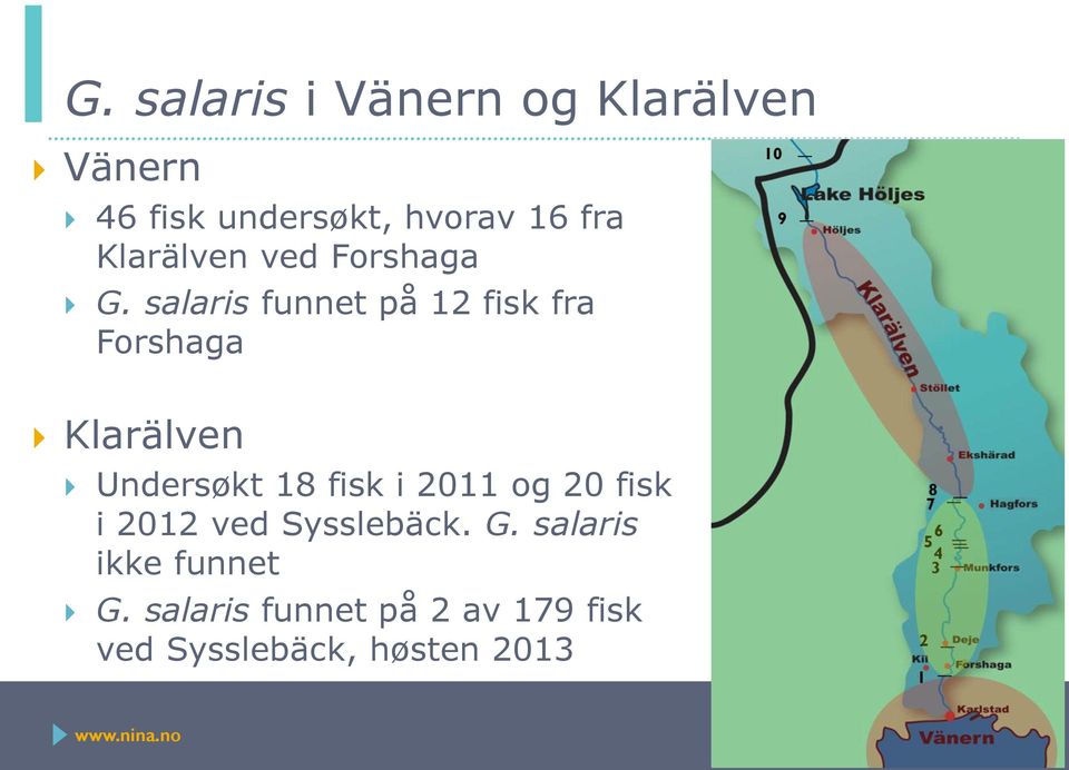 salaris funnet på 12 fisk fra Forshaga Klarälven Undersøkt 18 fisk i