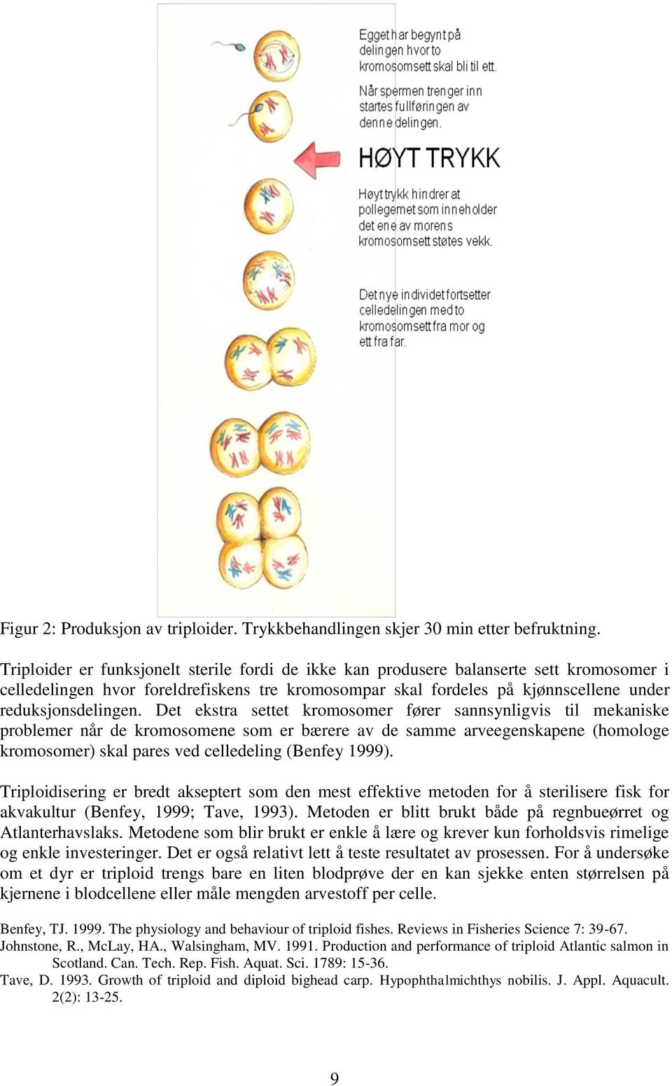 Det ekstra settet kromosomer fører sannsynligvis til mekaniske problemer når de kromosomene som er bærere av de samme arveegenskapene (homologe kromosomer) skal pares ved celledeling (Benfey 1999).