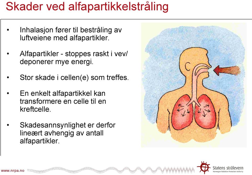 Stor skade i cellen(e) som treffes.