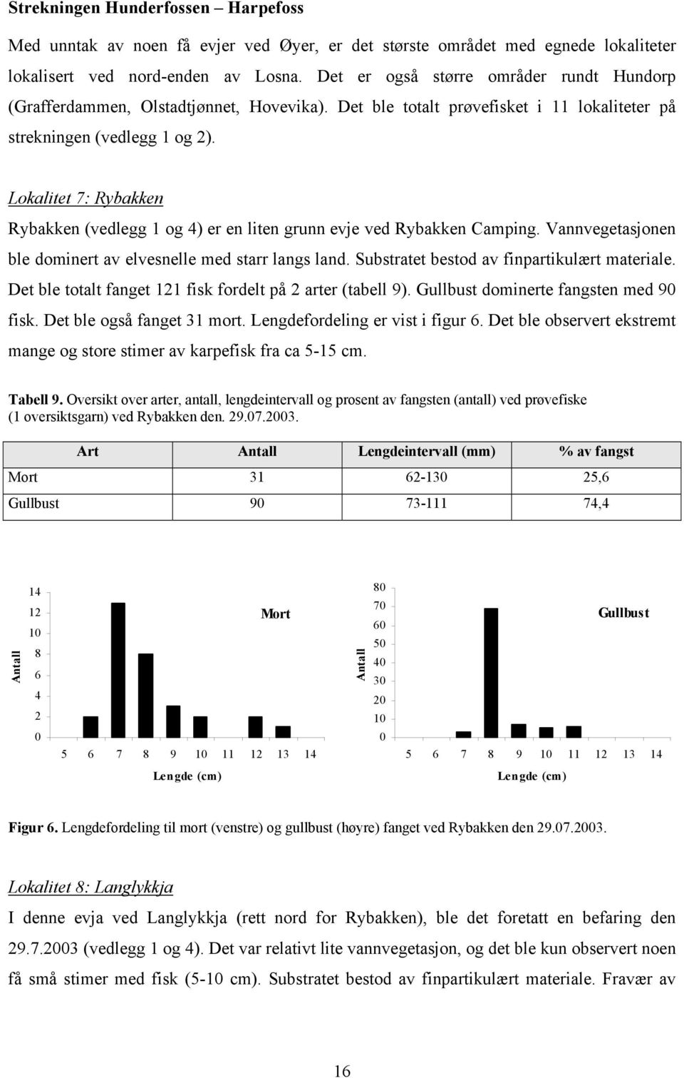 Lokalitet 7: Rybakken Rybakken (vedlegg 1 og 4) er en liten grunn evje ved Rybakken Camping. Vannvegetasjonen ble dominert av elvesnelle med starr langs land.