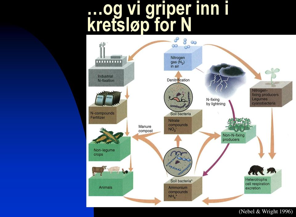 kretsløp for