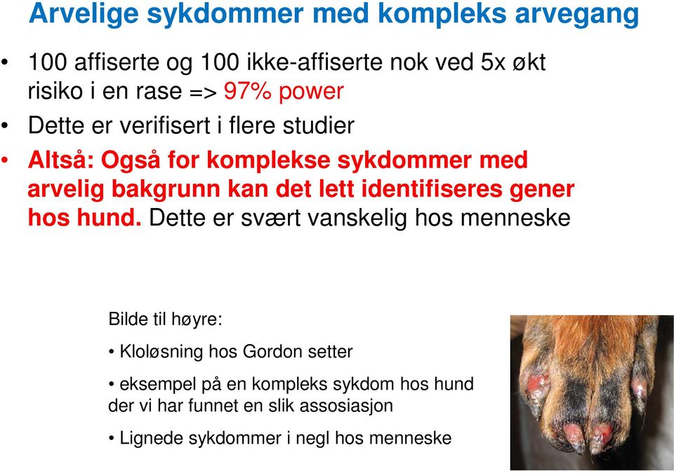 lett identifiseres gener hos hund.