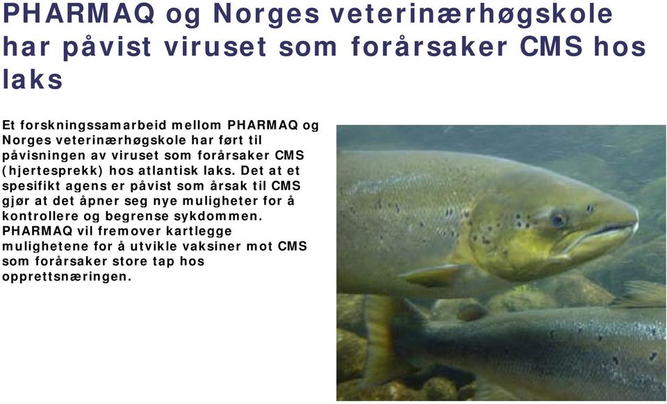 Det at et spesifikt agens er påvist som årsak til CMS gjør at det åpner seg nye muligheter for å kontrollere og begrense