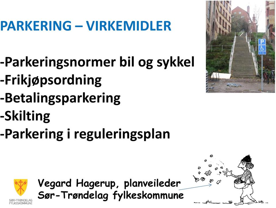 -Skilting -Parkering i reguleringsplan Vegard