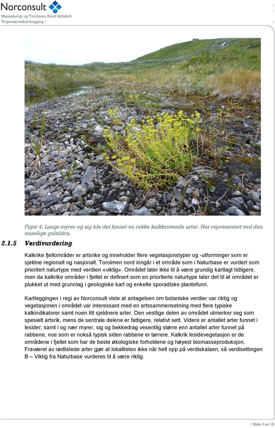 Torolmen nord inngår i et område som i Naturbase er vurdert som prioritert naturtype med verdien «viktig».