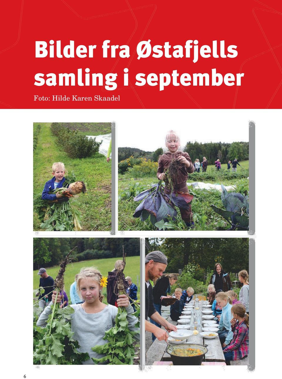 samling i