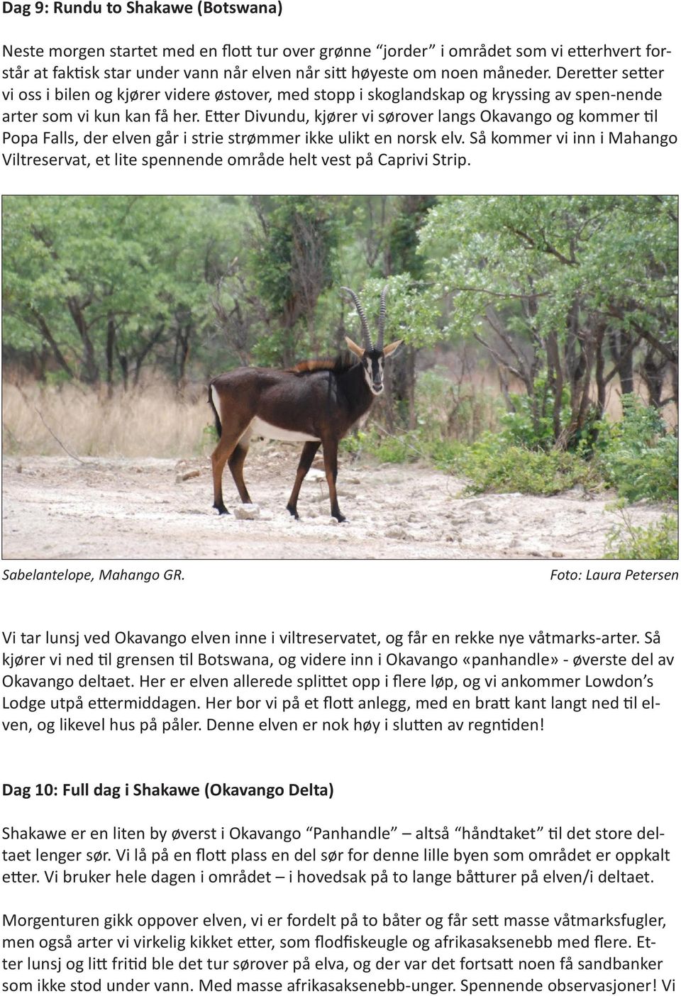 Etter Divundu, kjører vi sørover langs Okavango og kommer til Popa Falls, der elven går i strie strømmer ikke ulikt en norsk elv.