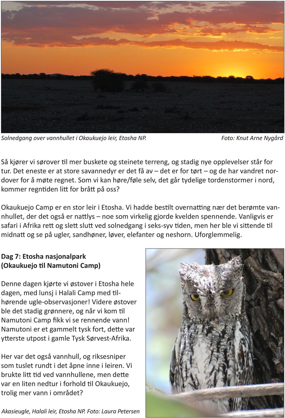 Som vi kan høre/føle selv, det går tydelige tordenstormer i nord, kommer regntiden litt for brått på oss? Okaukuejo Camp er en stor leir i Etosha.