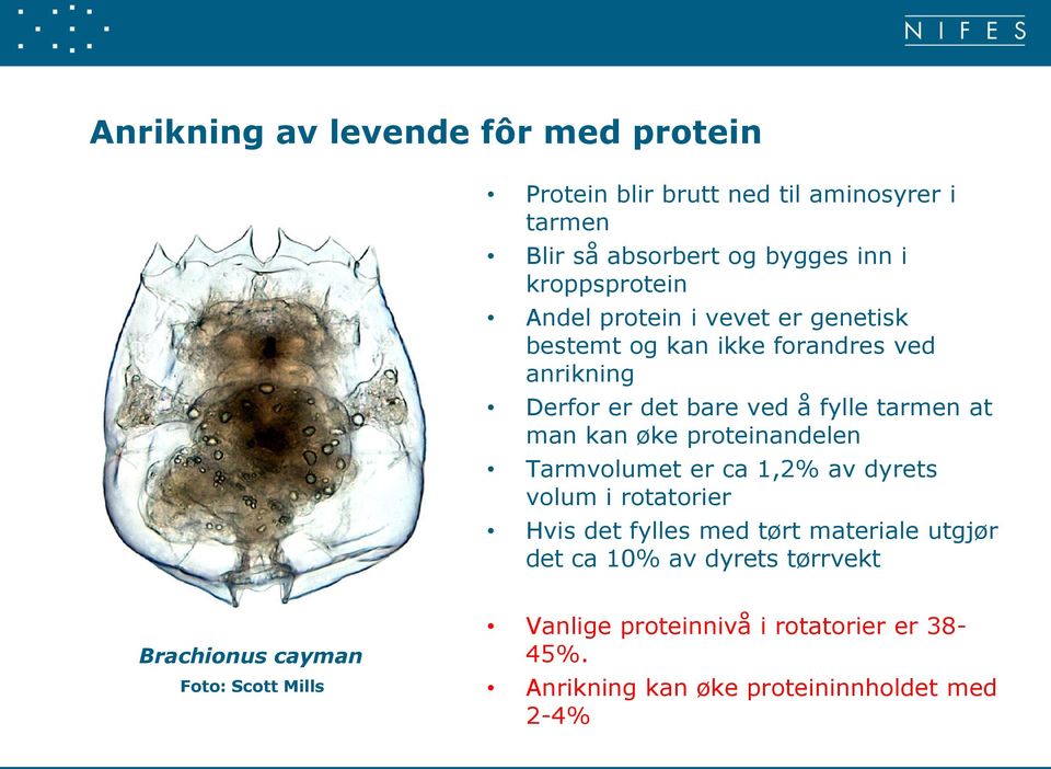 proteinandelen Tarmvolumet er ca 1,2% av dyrets volum i rotatorier Hvis det fylles med tørt materiale utgjør det ca 10% av dyrets