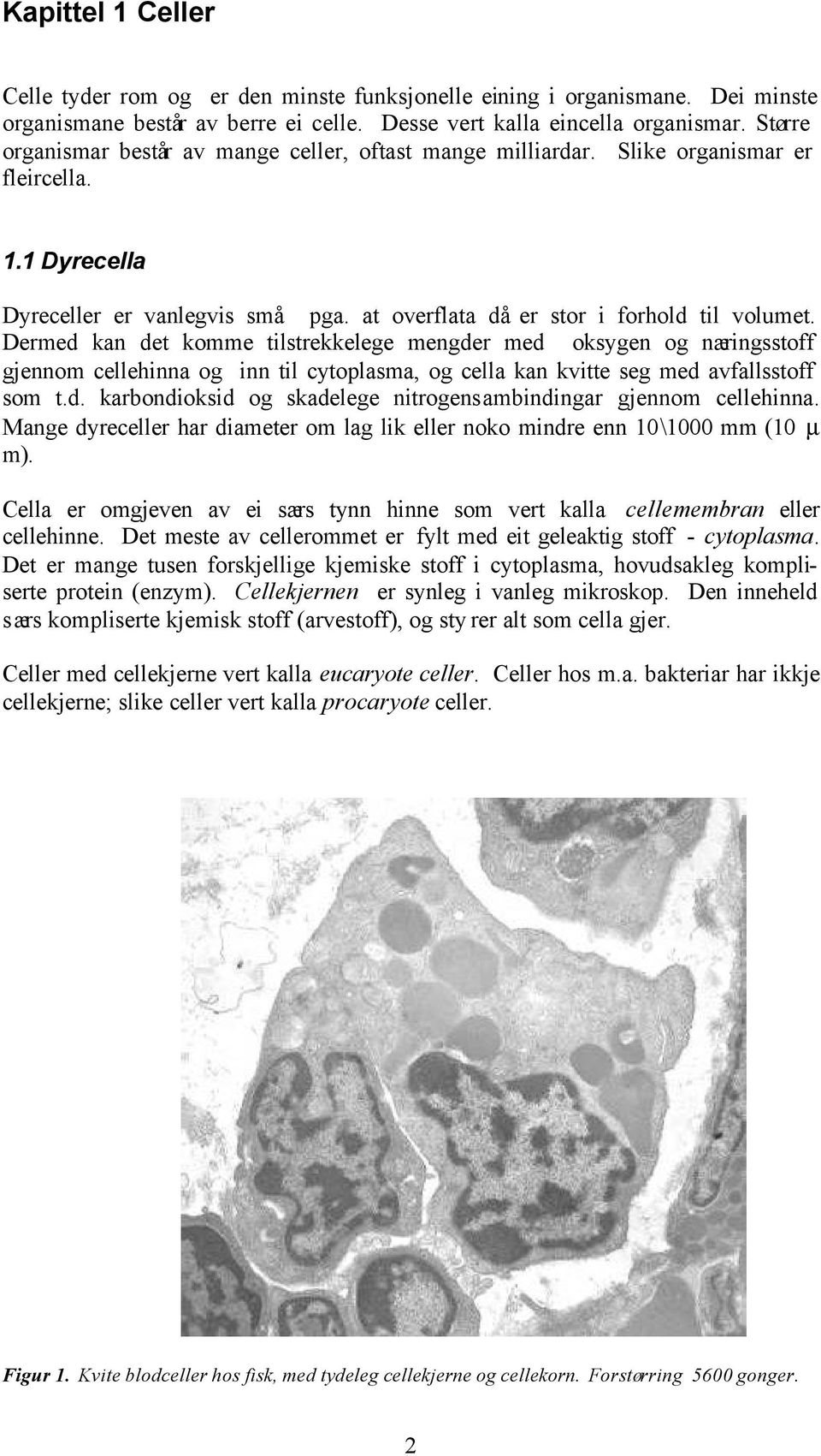 Dermed kan det komme tilstrekkelege mengder med oksygen og næringsstoff gjennom cellehinna og inn til cytoplasma, og cella kan kvitte seg med avfallsstoff som t.d. karbondioksid og skadelege nitrogensambindingar gjennom cellehinna.