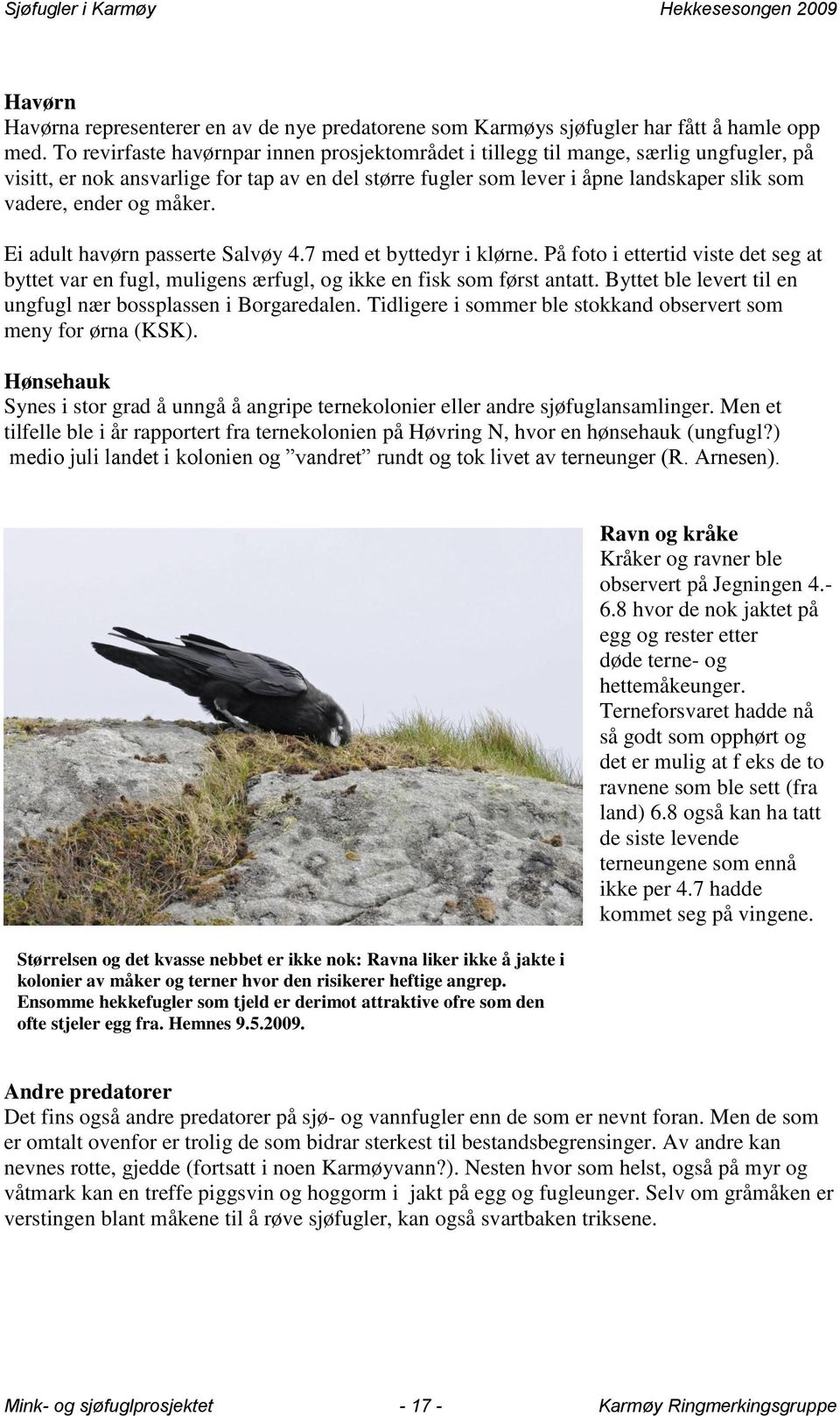 måker. Ei adult havørn passerte Salvøy 4.7 med et byttedyr i klørne. På foto i ettertid viste det seg at byttet var en fugl, muligens ærfugl, og ikke en fisk som først antatt.