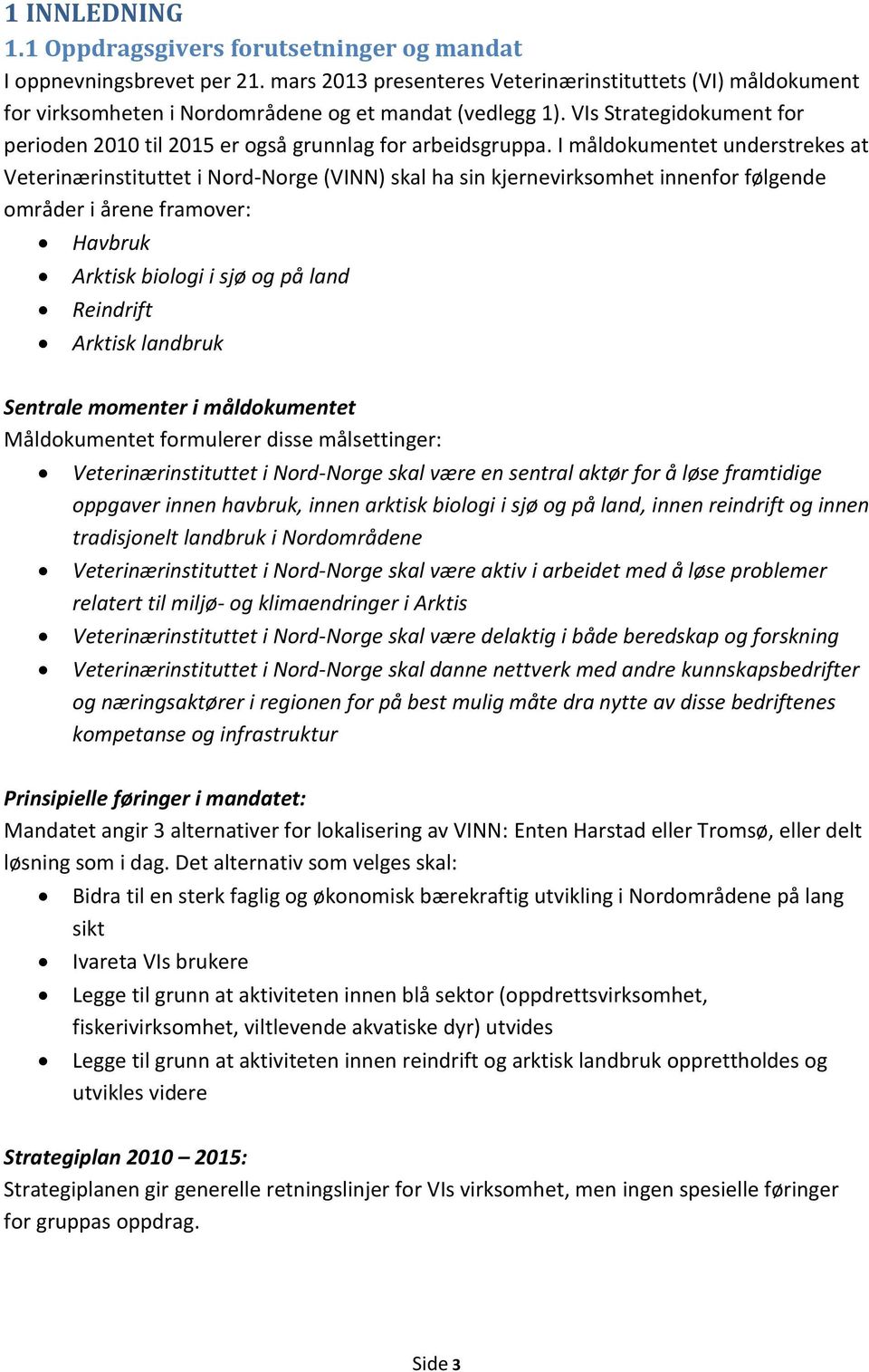 VIs Strategidokument for perioden 2010 til 2015 er også grunnlag for arbeidsgruppa.